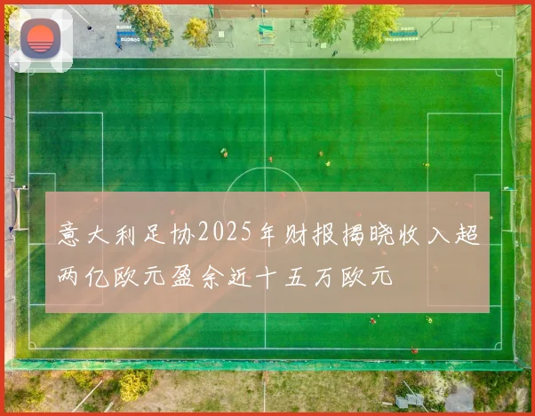 意大利足协2025年财报揭晓收入超两亿欧元盈余近十五万欧元